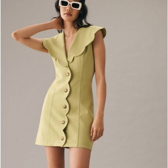 Anthropologie Dresses & Skirts - Maeve Anthropologie light green scalloped collar mini dress Medium Petite